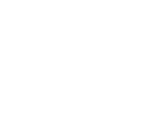 fiat Logo